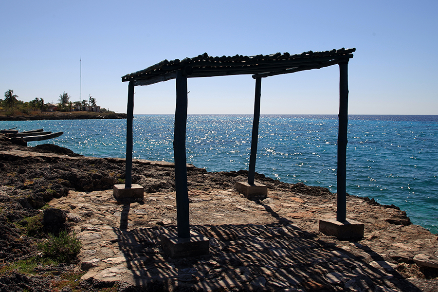 VSV_7815.jpg